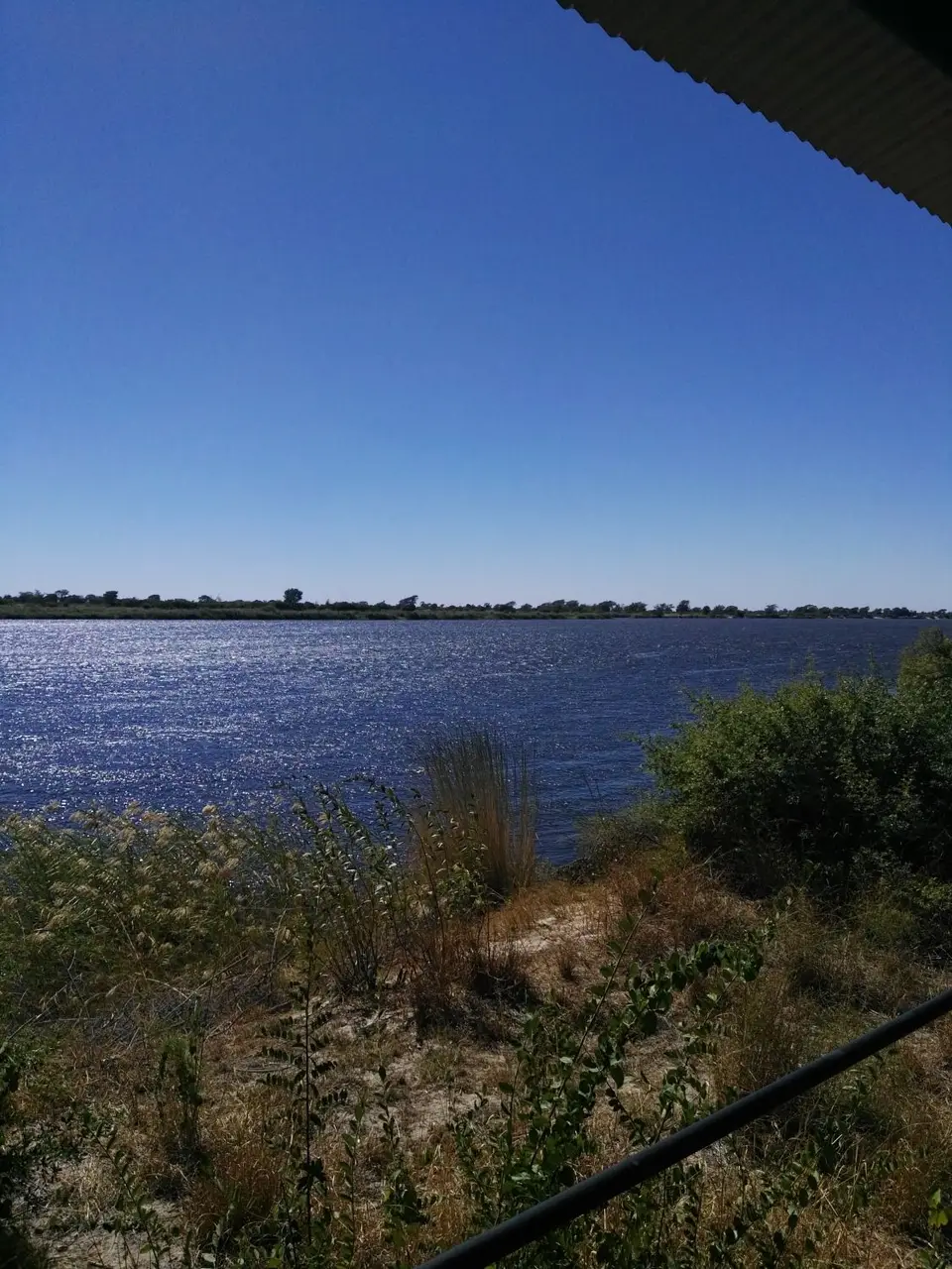 IMG_20190605_120812.jpg