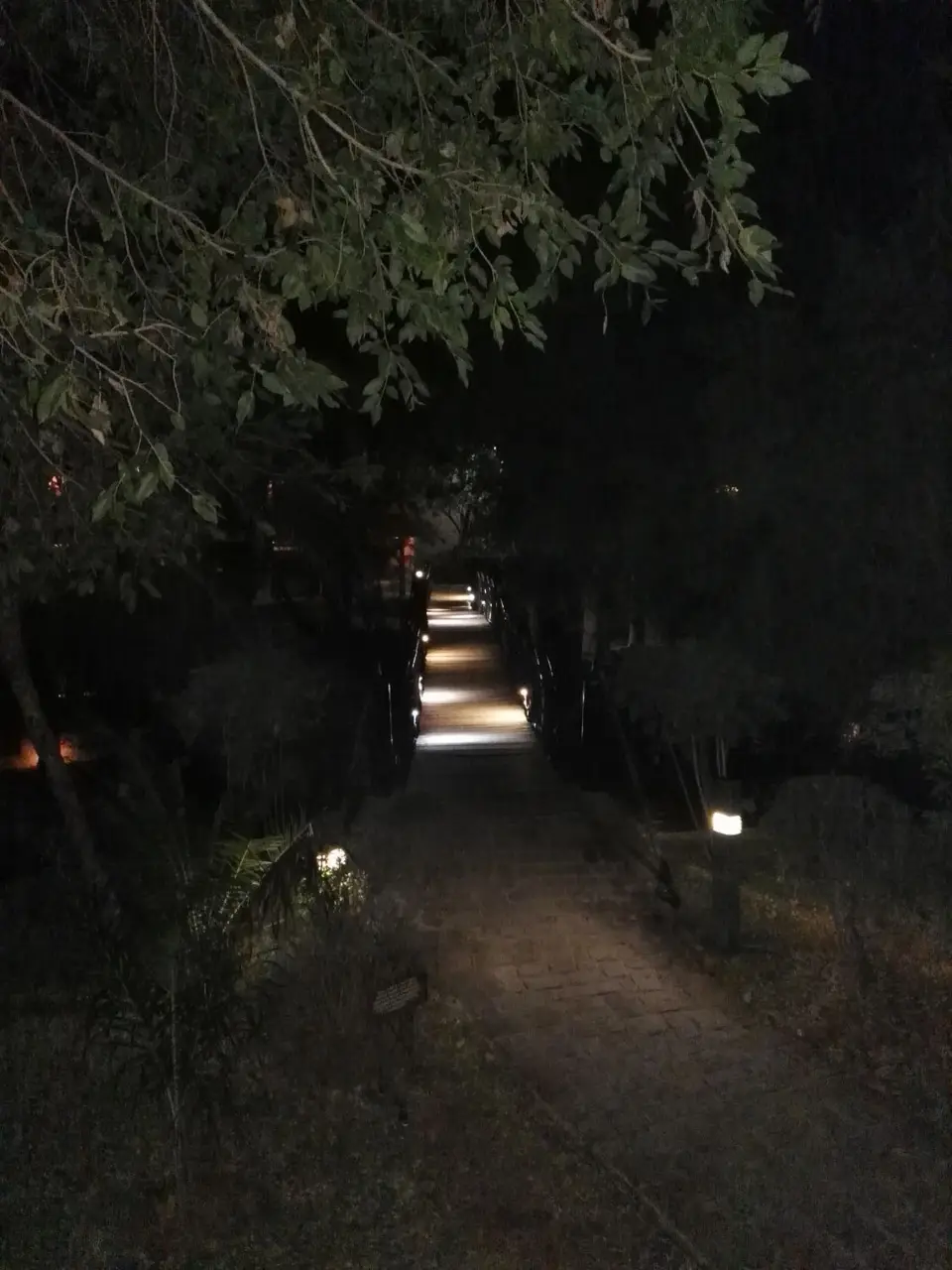 IMG_20190607_205041.jpg