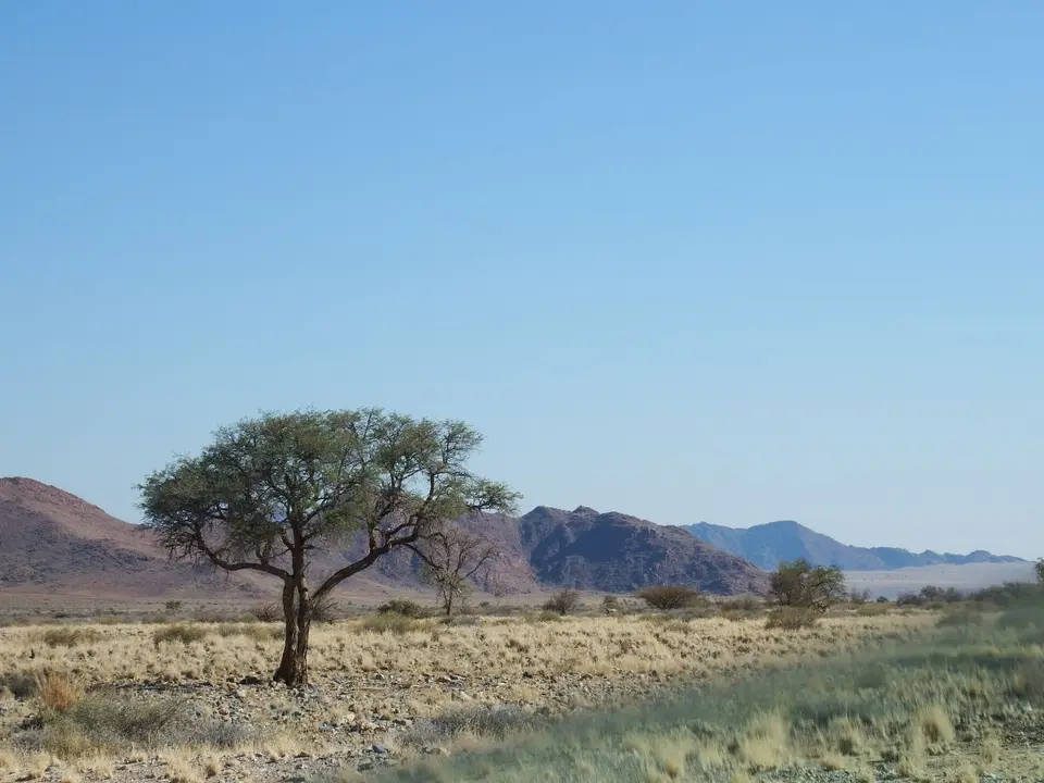 h34180bc.JPG