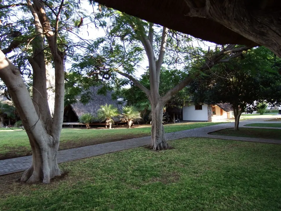 h345b638.JPG