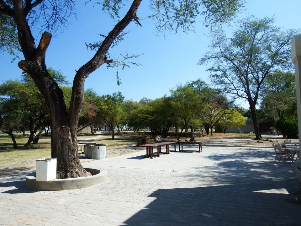 ha215525.JPG