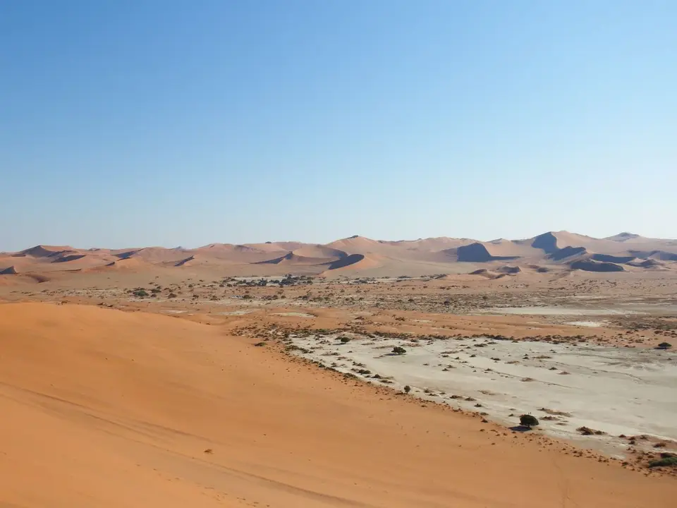 hb90deeb.JPG
