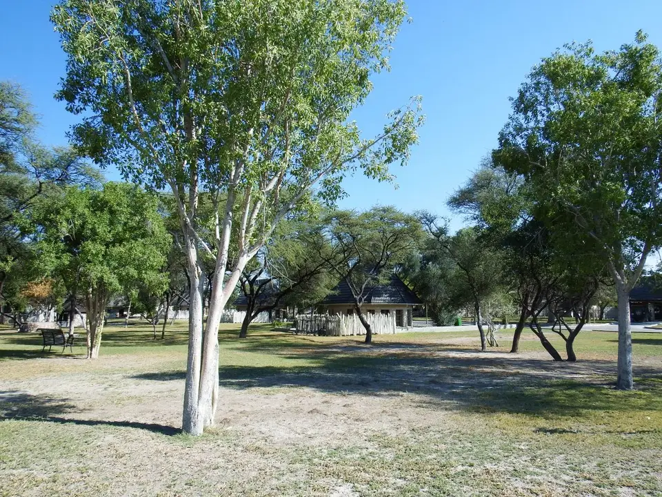 hdff5092.JPG
