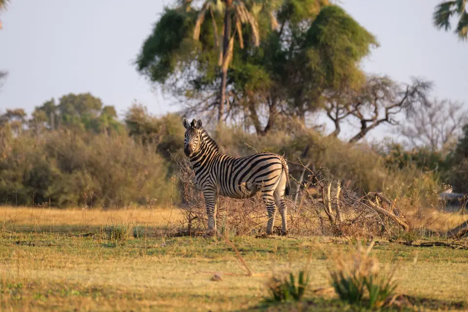 2019-09_afrika-0094.jpg