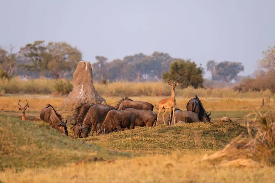 2019-09_afrika-0104.jpg