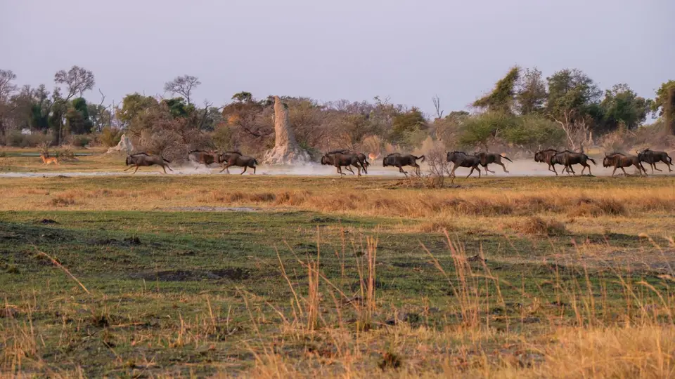 2019-09_afrika-0106.jpg