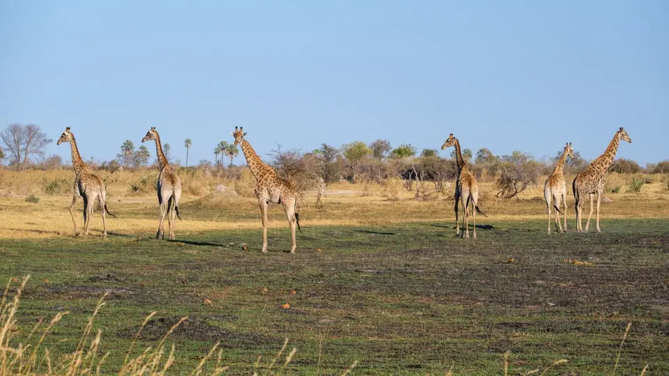 2019-09_afrika-0123.jpg