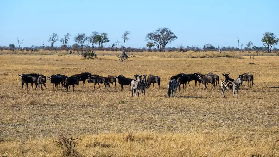 2019-09_afrika-0130.jpg
