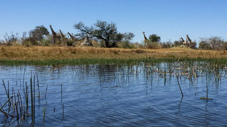 2019-09_afrika-0142.jpg