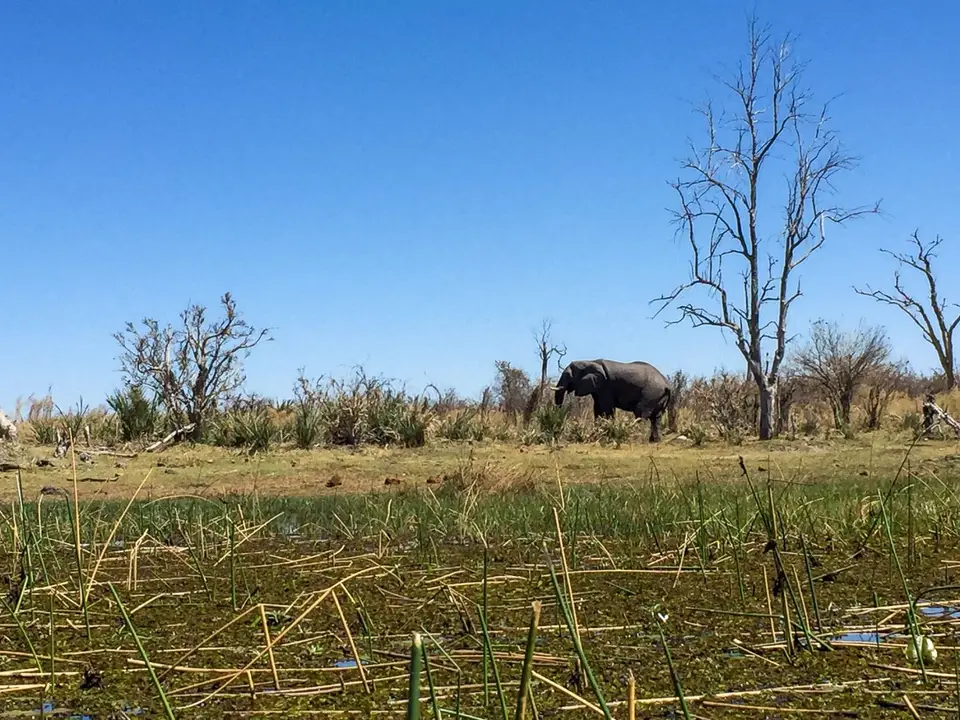 2019-09_afrika-0146.jpg