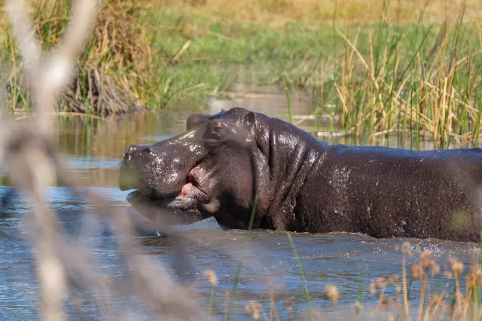 2019-09_afrika-0148.jpg