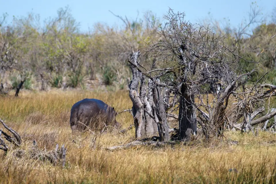 2019-09_afrika-0151.jpg