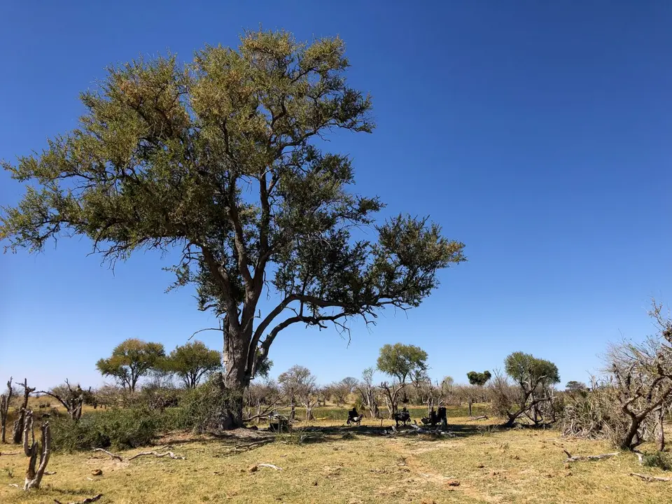 2019-09_afrika-0153.jpg