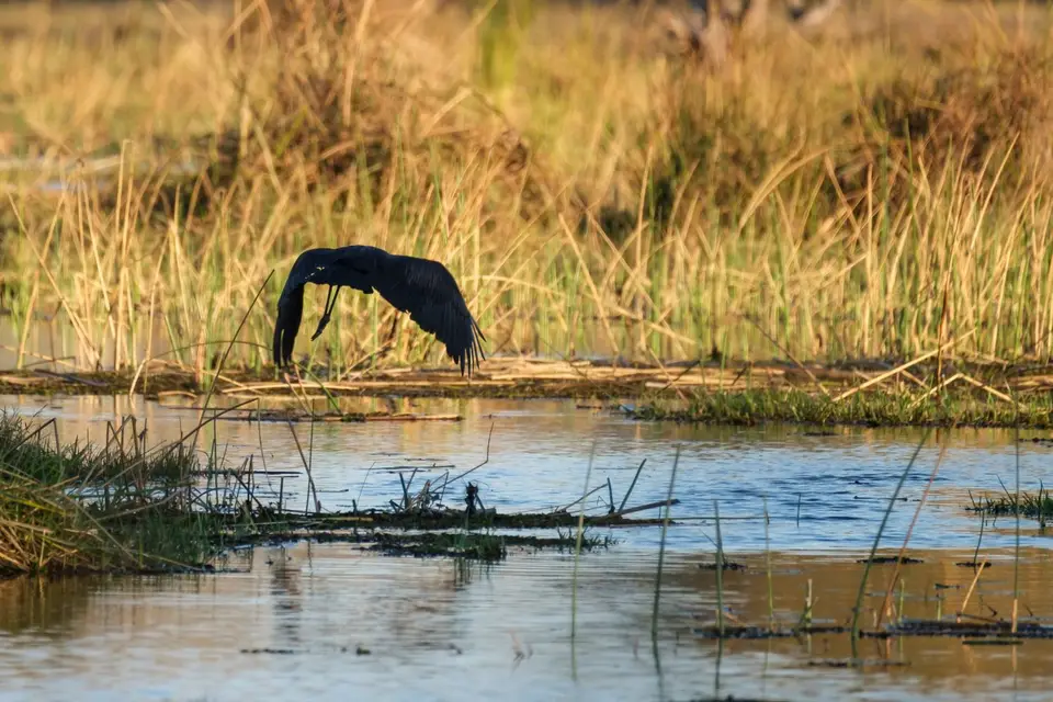 2019-09_afrika-0159.jpg