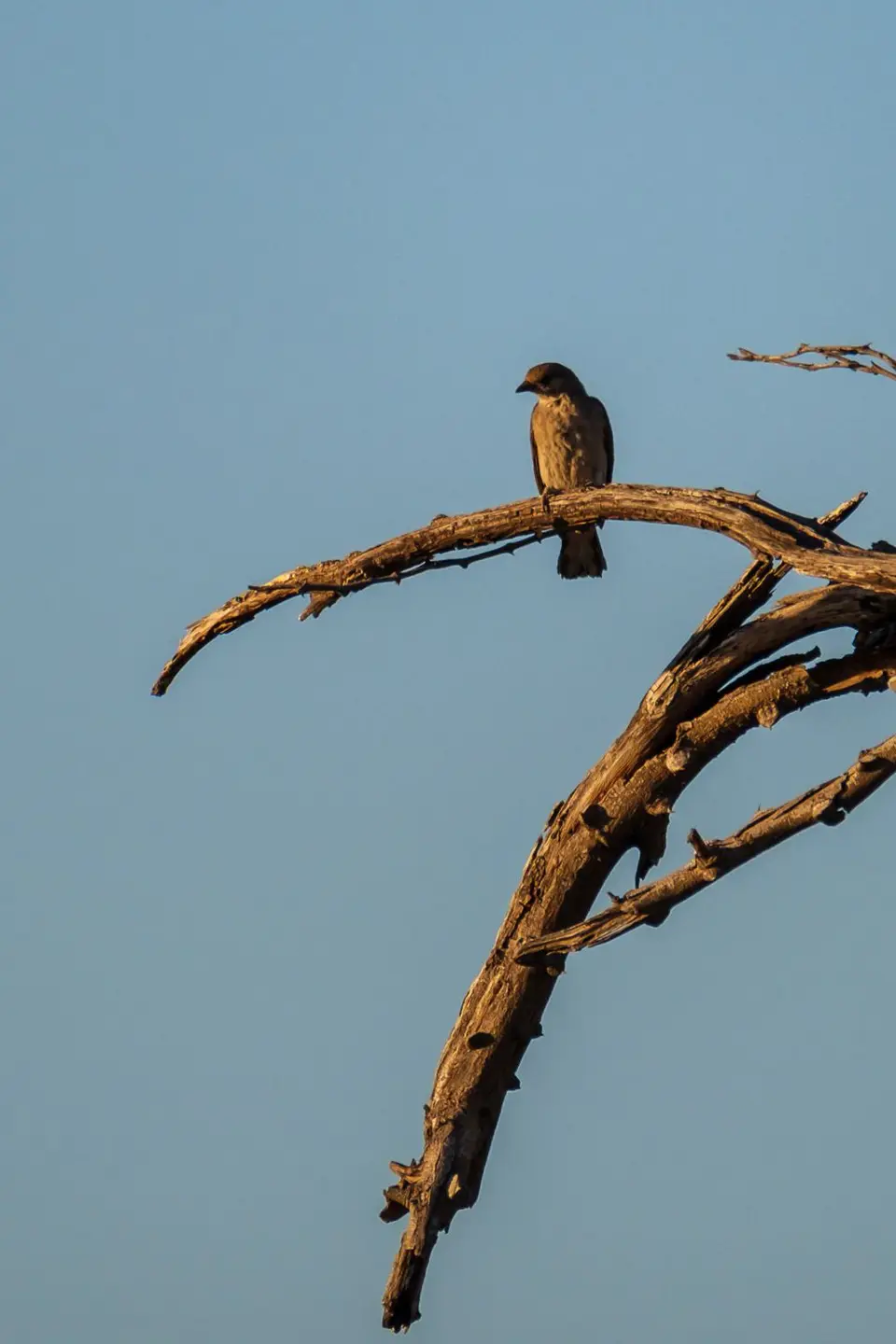 2019-09_afrika-0166.jpg
