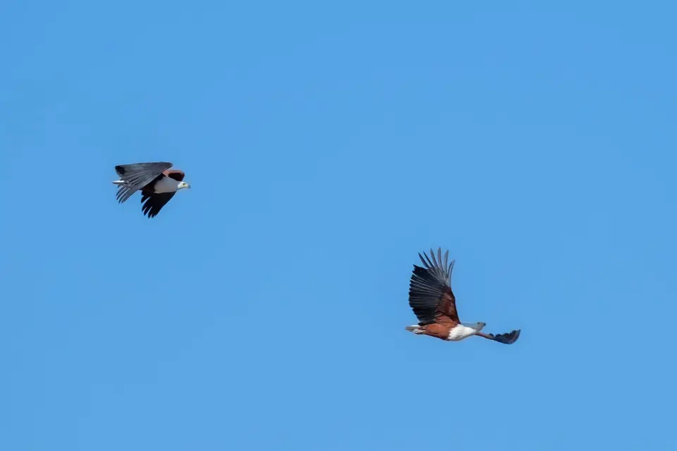 2019-09_afrika-0180.jpg