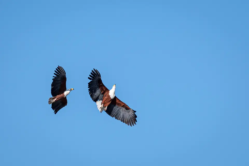 2019-09_afrika-0181.jpg