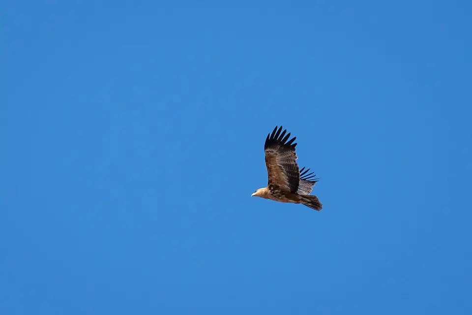2019-09_afrika-0195.jpg