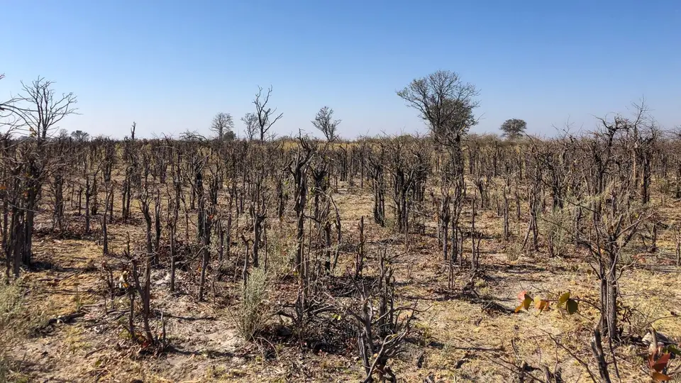 2019-09_afrika-0208.jpg