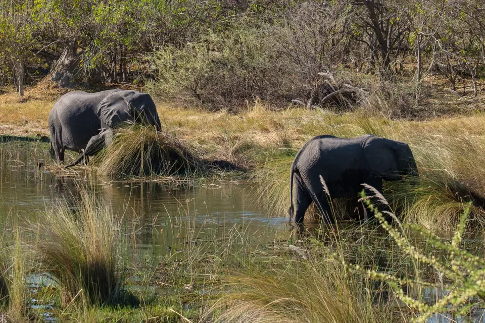2019-09_afrika-0240.jpg