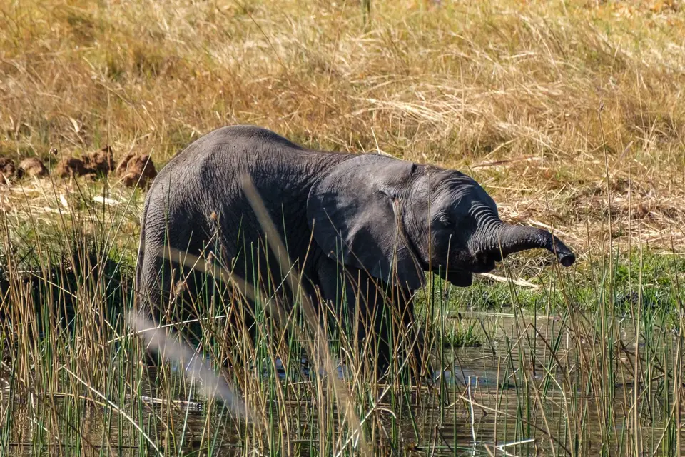 2019-09_afrika-0246.jpg