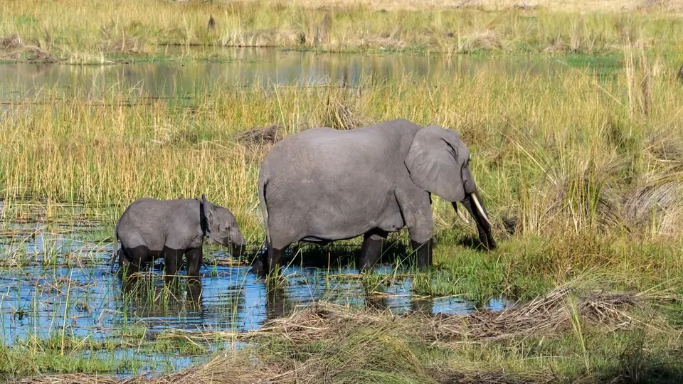 2019-09_afrika-0268.jpg
