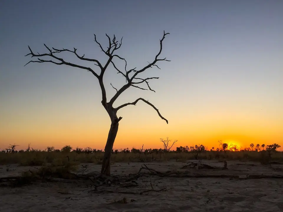 2019-09_afrika-0286.jpg