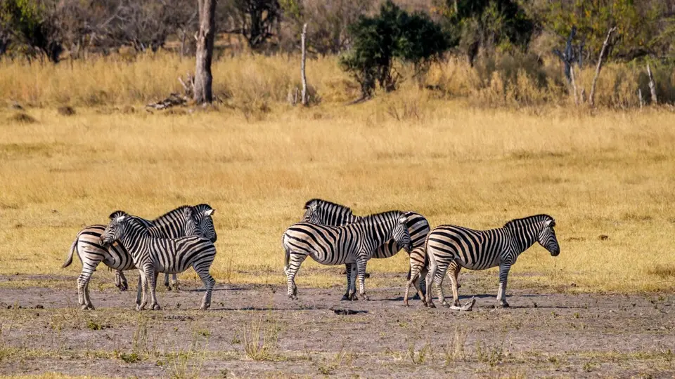 2019-09_afrika-0395.jpg