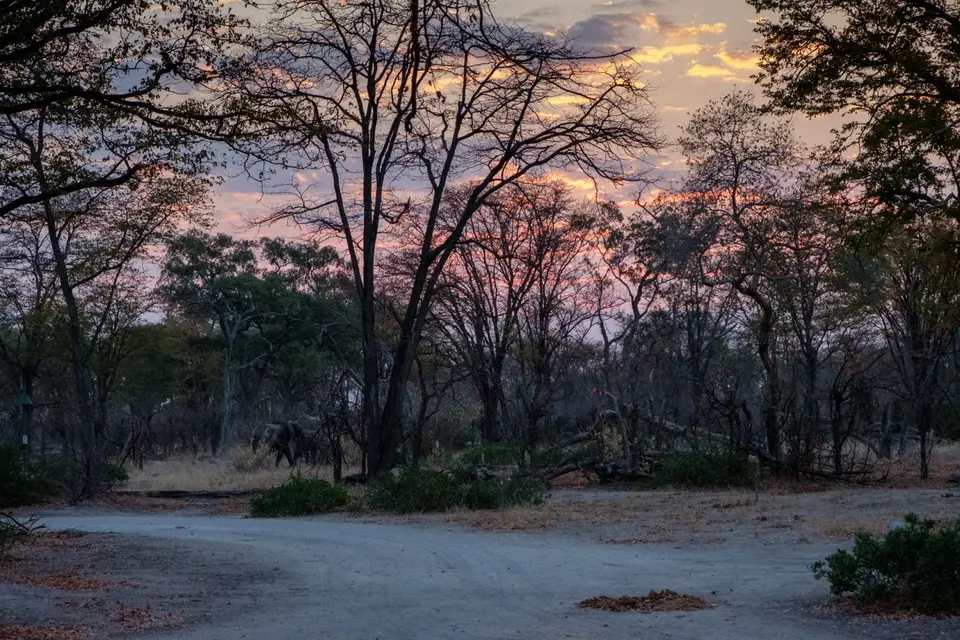 2019-09_afrika-0402.jpg