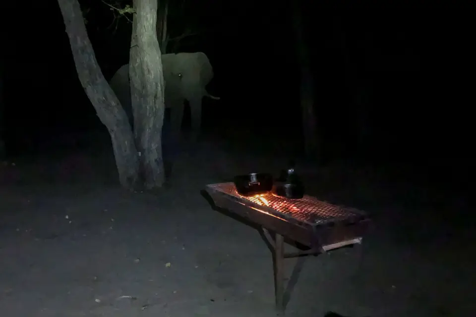 2019-09_afrika-0405.jpg