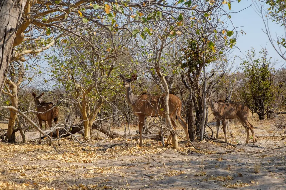 2019-09_afrika-0424.jpg