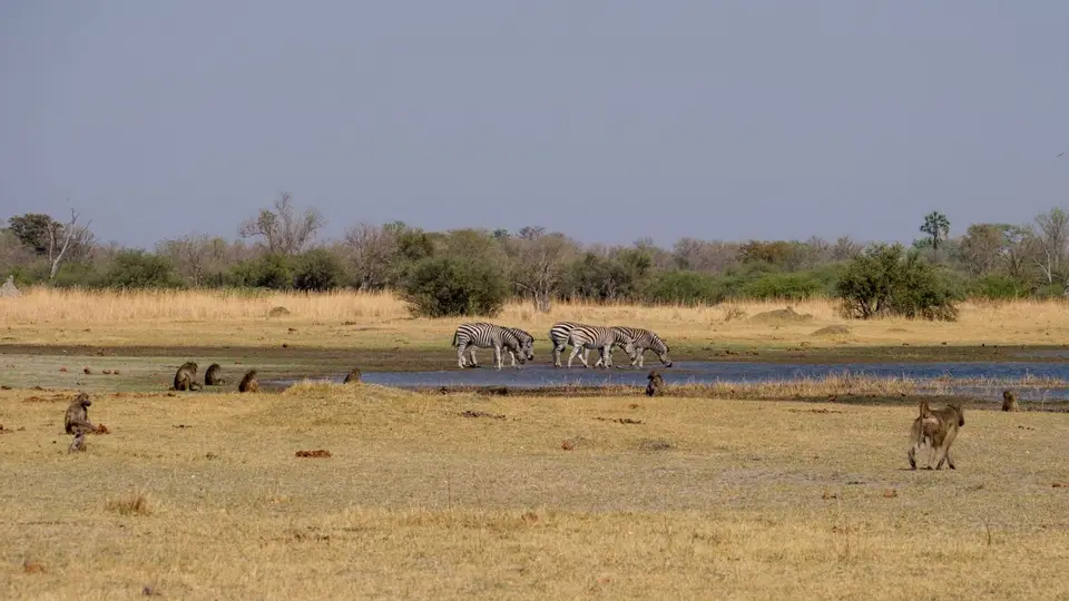 2019-09_afrika-0430.jpg