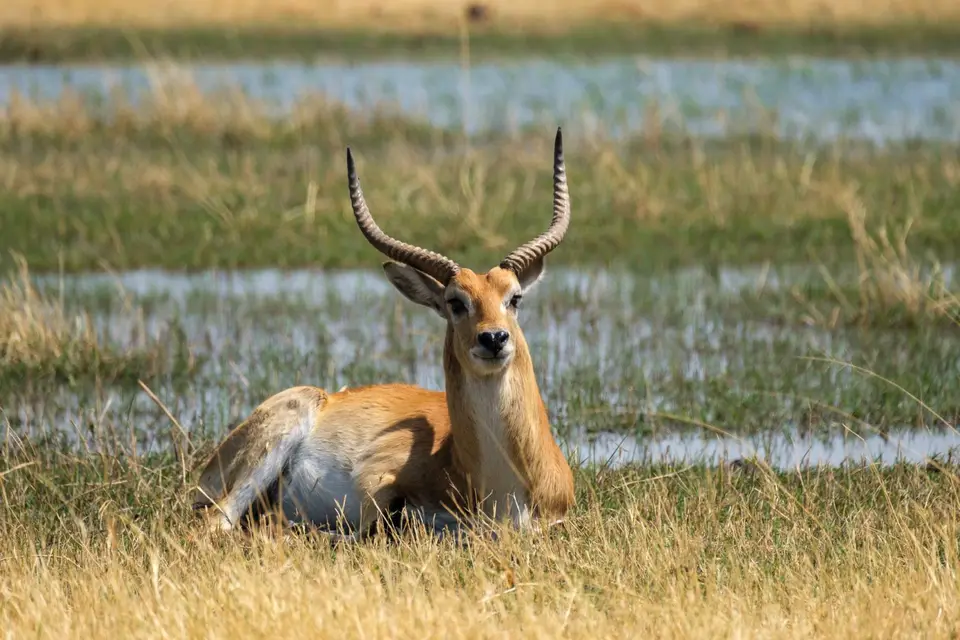 2019-09_afrika-0445.jpg