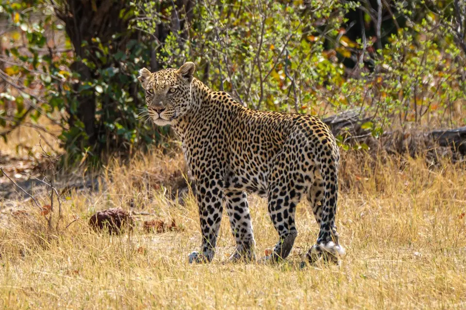 2019-09_afrika-0452.jpg