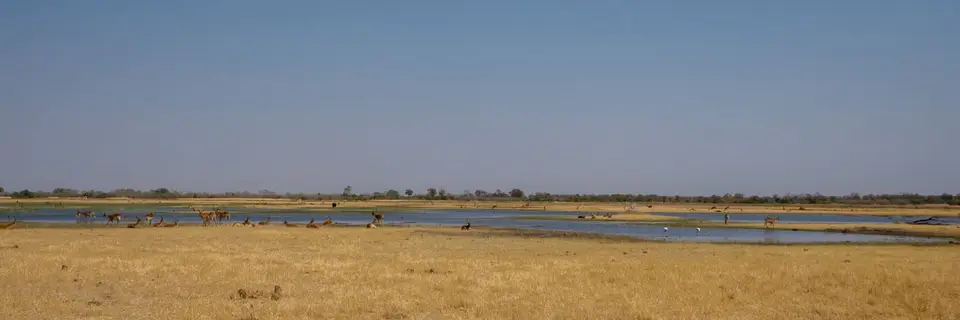 2019-09_afrika-0461.jpg