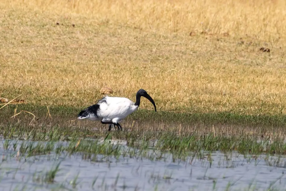 2019-09_afrika-0475.jpg