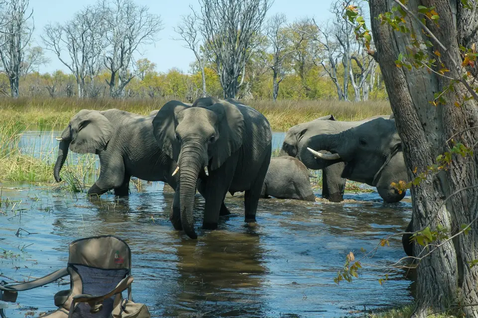2019-09_afrika-0480.jpg