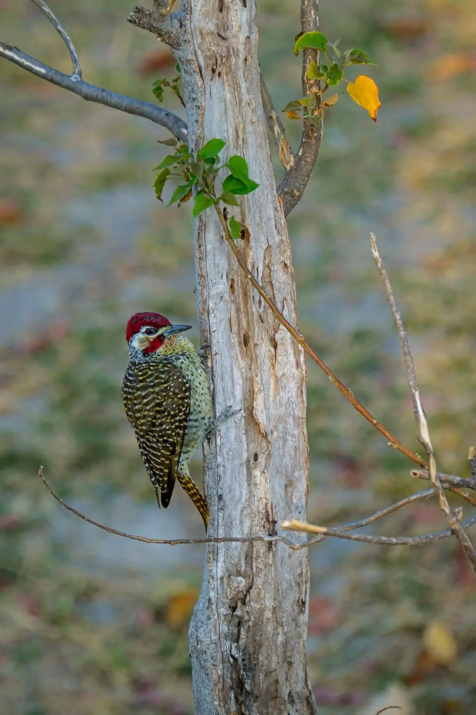 2019-09_afrika-0509.jpg