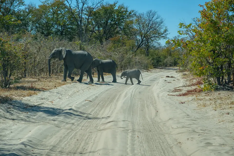 2019-09_afrika-0533.jpg