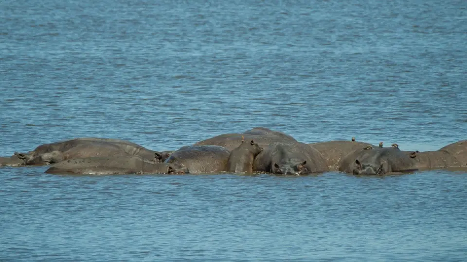2019-09_afrika-0556.jpg