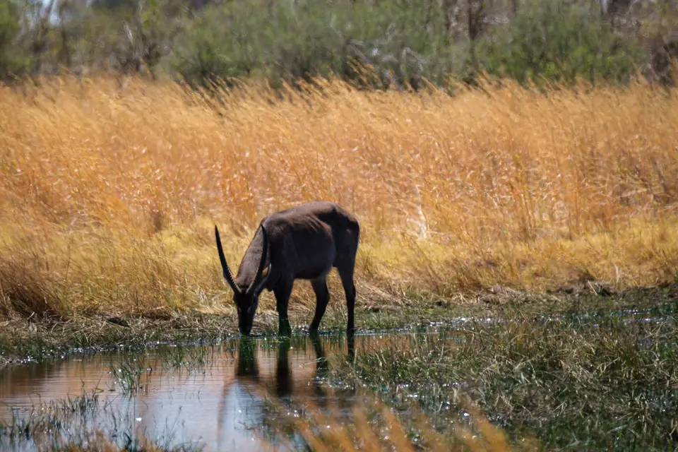 2019-09_afrika-0572.jpg