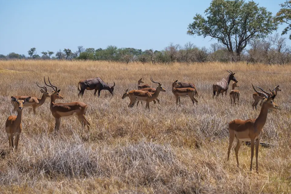 2019-09_afrika-0574.jpg