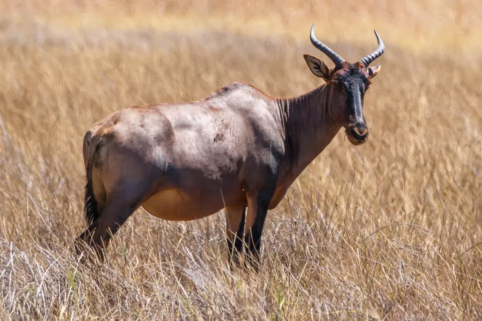 2019-09_afrika-0579.jpg