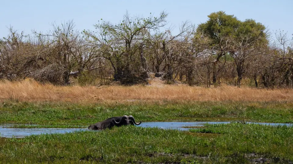 2019-09_afrika-0584.jpg