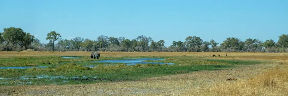 2019-09_afrika-0593.jpg