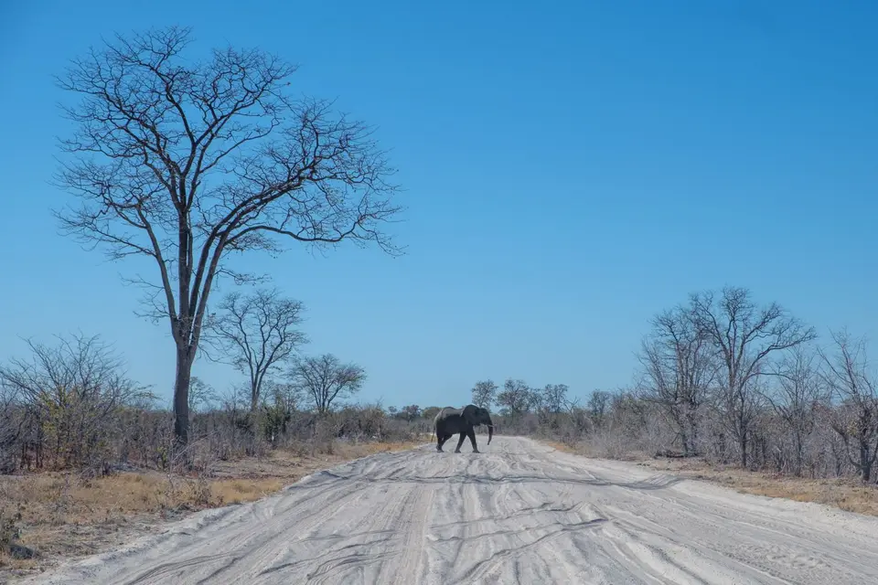 2019-09_afrika-0620.jpg