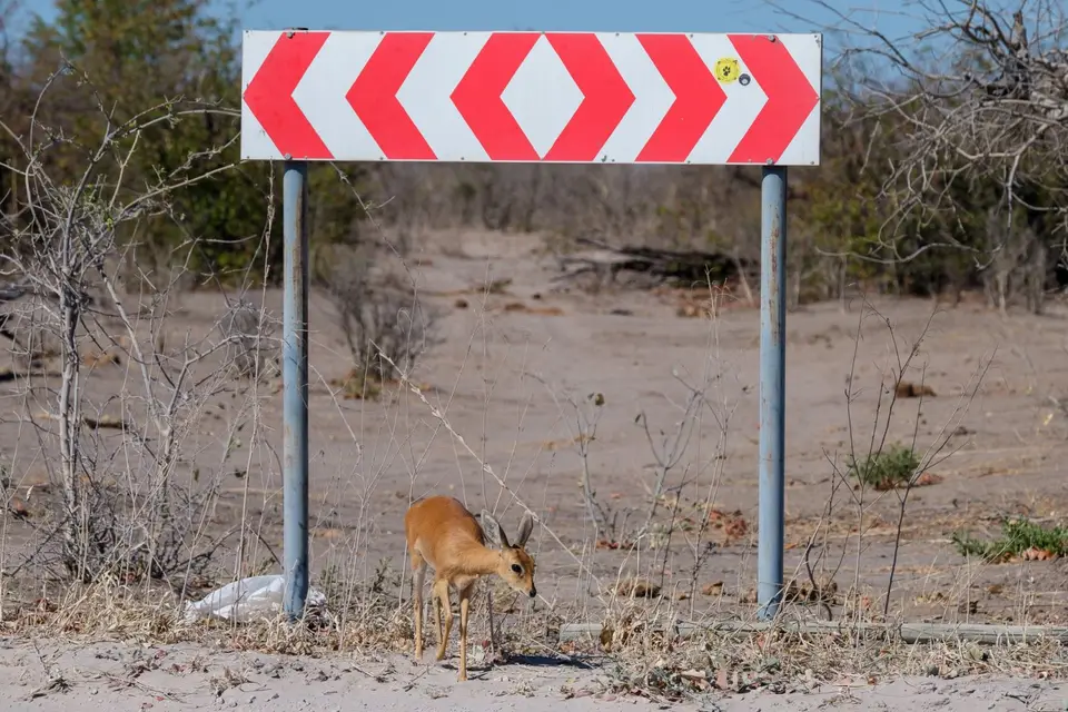2019-09_afrika-0622.jpg
