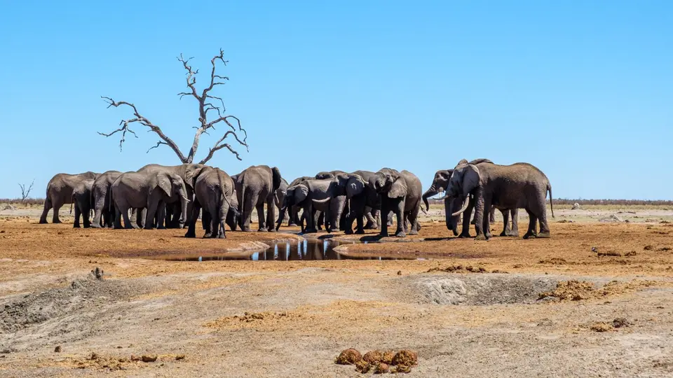 2019-09_afrika-0629.jpg