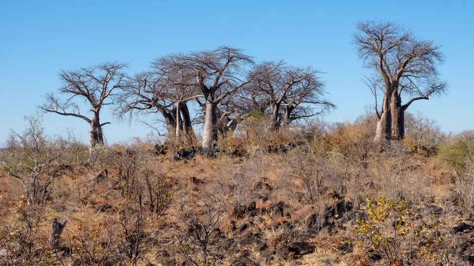 2019-09_afrika-0639.jpg