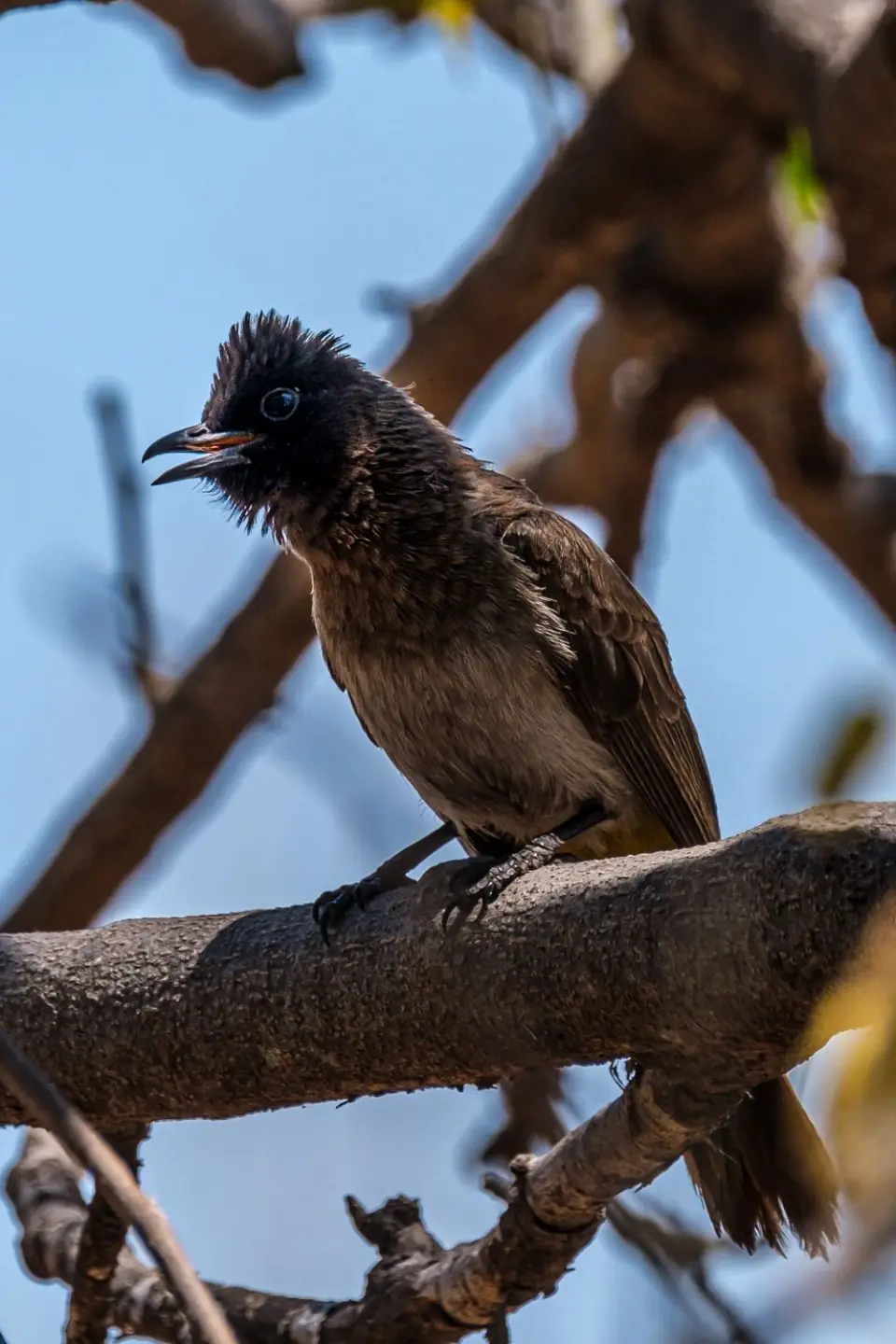 2019-09_afrika-0675.jpg